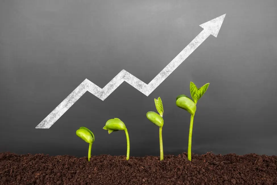 رشد کسبوکار: رویش جوانهای جدید در مقابل تخته سیاه