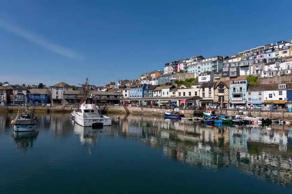 بازار ماهی بریکس‌هام در دوون، شاهد انباشت نادری از اختاپوس‌های جابجا‌شده از آب‌های مراکش و موریتانی