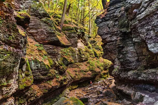 یک کوهنورد در حال راه رفتن زیر صخره‌های بلند و پوشیده از خزه در یک جنگل است.