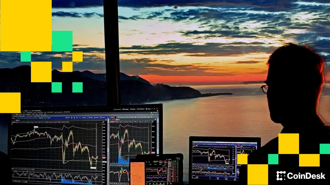 فردی که به چندین صفحهٔ معاملاتی نگاه میکند. (sergeitokmakov/Pixabay)