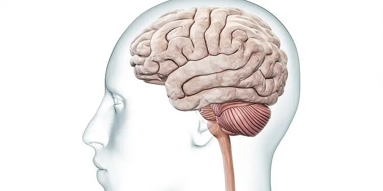 [عکس از Adobe Stock]