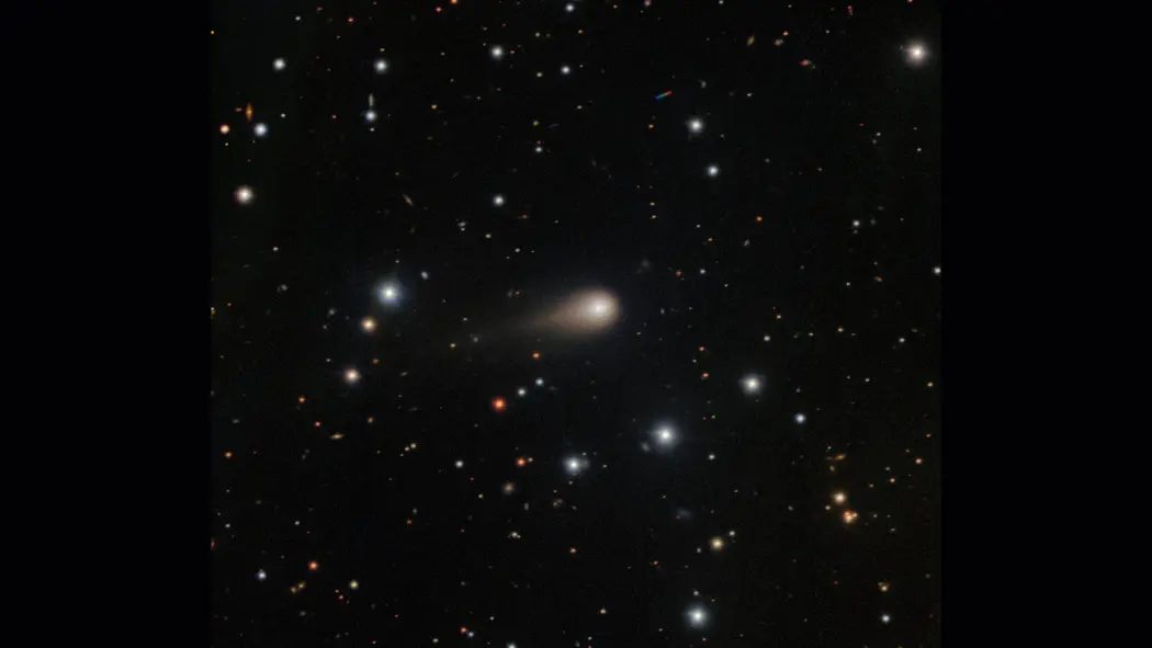 رگهای سفید ستاره دنبالهدار بینستارهای ۳I/ATLAS را در مرکز آسمان شب پرستاره نشان میدهد