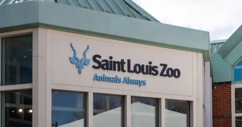 نشان باغوحش سنتلوئیس با حروف سیاه بر روی دیوار ساختمانی عاجرنگ و سقفی سبز. زیر آن تابلو آبی روشن نوشته «حیوانات همیشه» به همراه تصویر یک غزال قرار دارد.