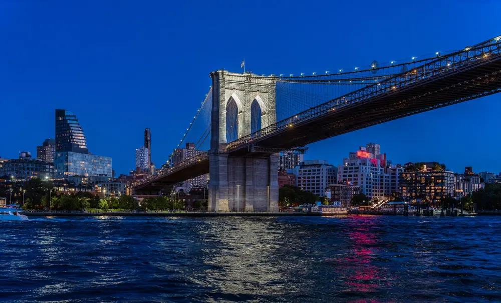 کارهای انجامشدنی در دامبو اگر برای کار آمدهاید