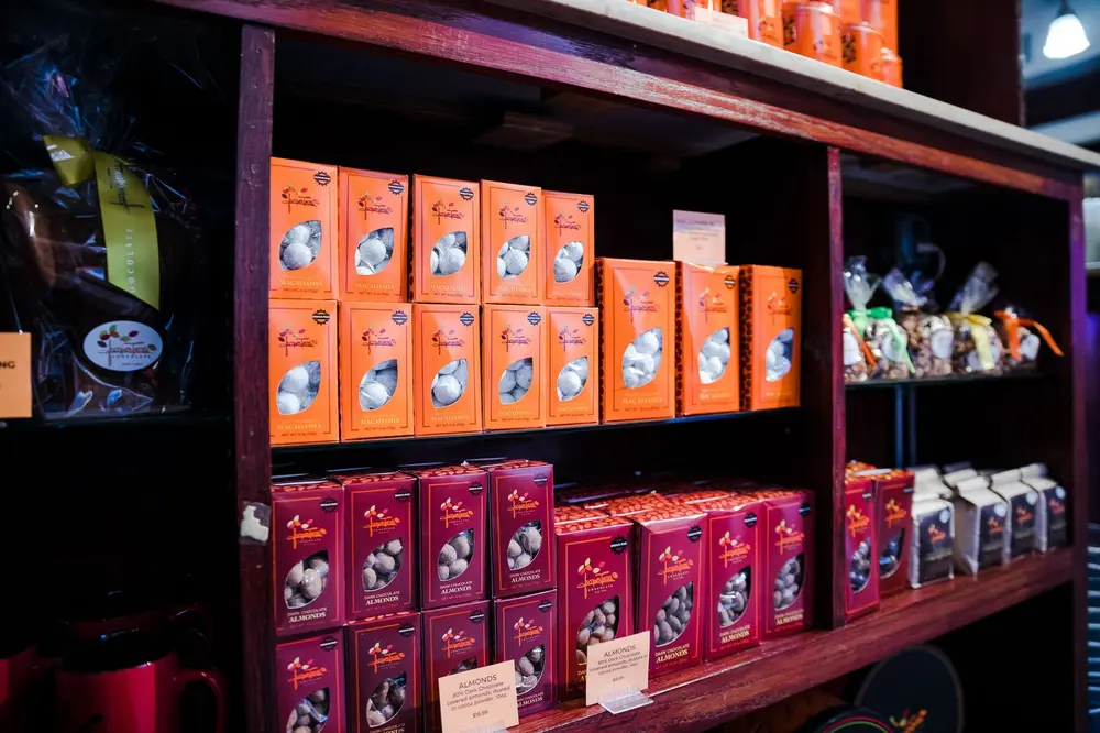 کارهای انجامشدنی در دامبو اگر برای کار آمدهاید