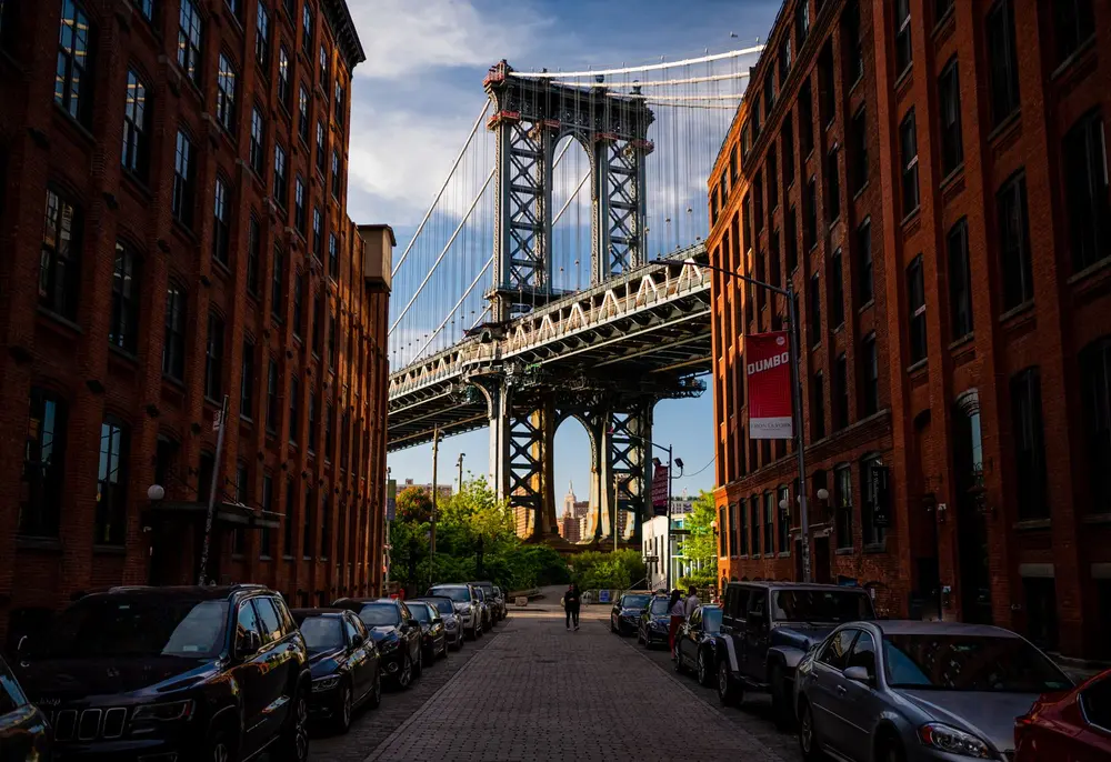 کارهای انجامشدنی در دامبو اگر برای کار آمدهاید