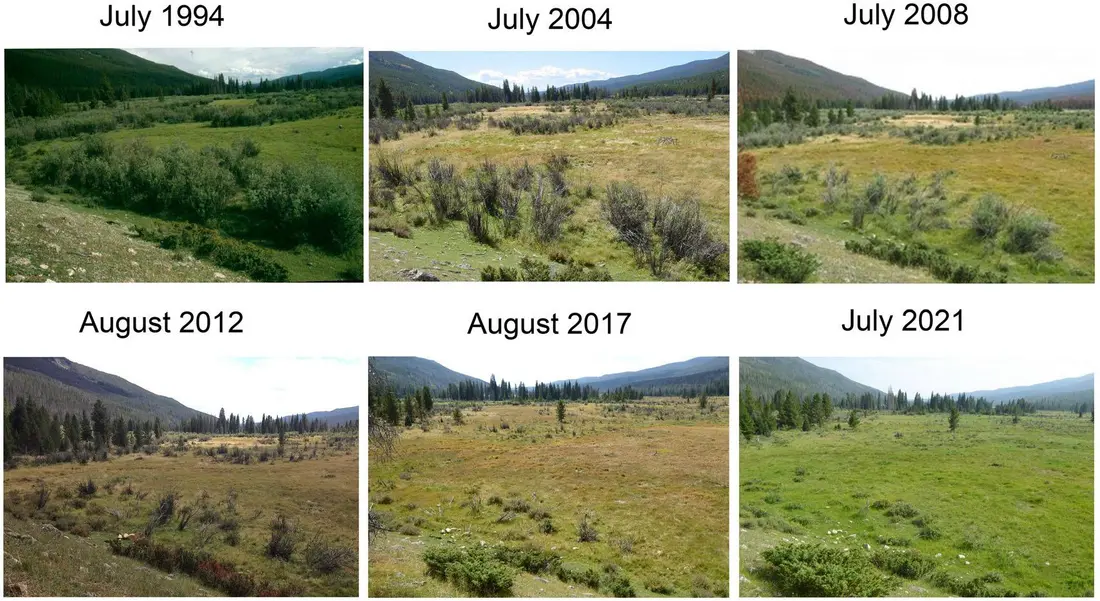 دنباله تصویری از سقوط سندل‌های بلند
