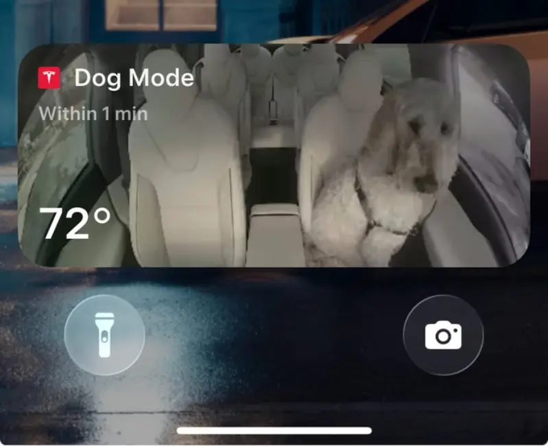 حالت سگ تسلا