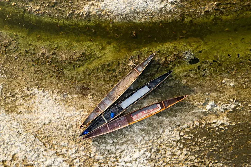 قایق‌های چوبی سنتی ماهیگیری در مرداب‌های خشک‌شدهٔ استان جنوبی بصرهٔ عراق، در تاریخ ۴ سپتامبر ۲۰۲۵ رها شده‌اند.