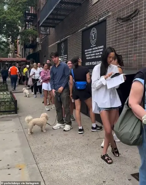 یک محلی به دیلیمیل گفت که بهدلیل تخفیف برای «عضوهای موسس» جذب عضویت شد و گفت خیابان «مانند یک تجمع» بود چون اینقدر پرطرفدار بود